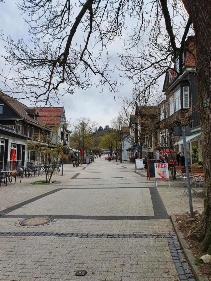 Apartment Am Bocksberg ゴスラー エクステリア 写真