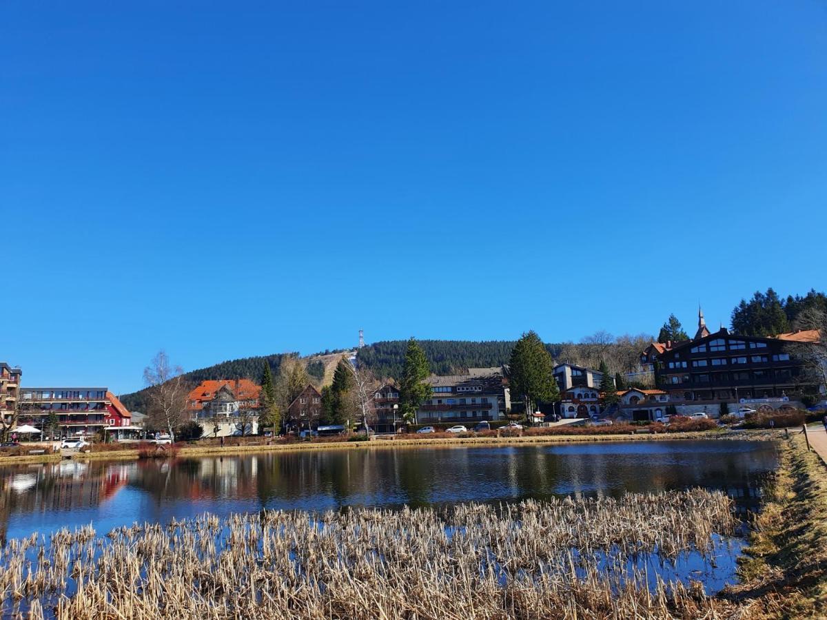 Apartment Am Bocksberg ゴスラー エクステリア 写真
